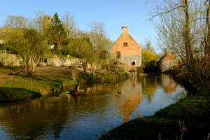 Traitement punaises de lit Sarreguemines